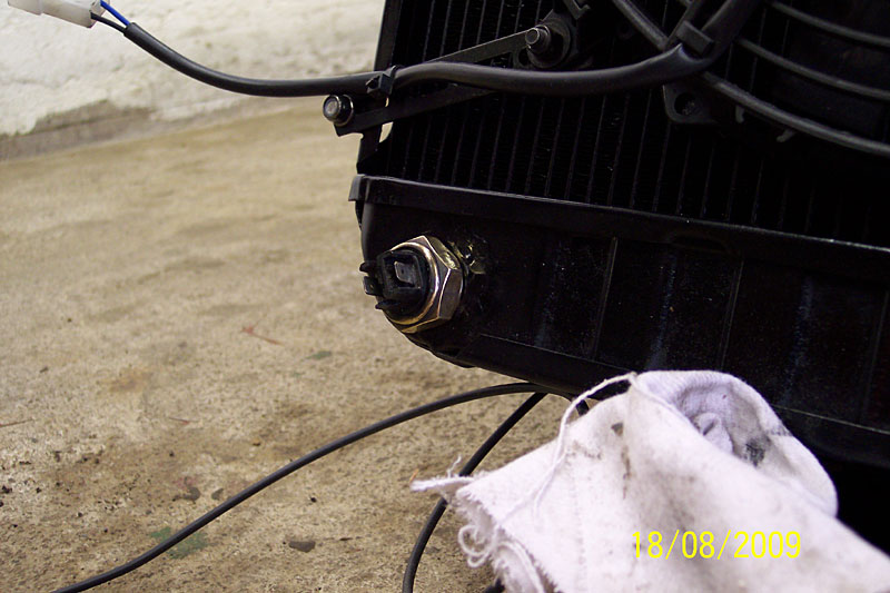 brilliantgr&uuml;nes Coupe